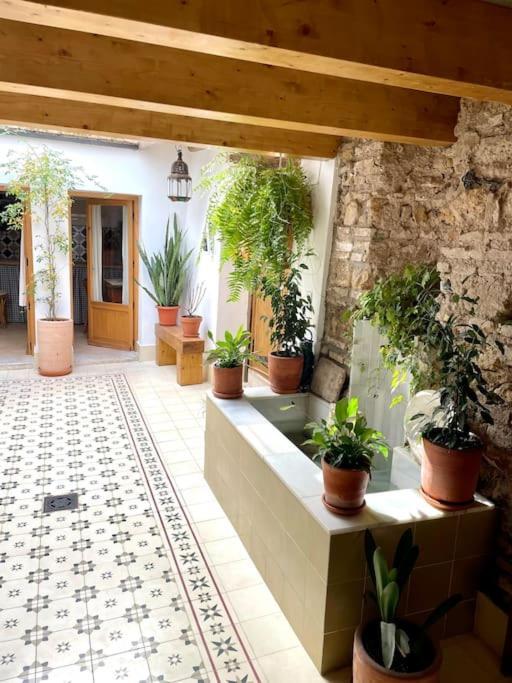 Apartamento En Casa Patio "Pan Y Conejo" Córdoba Eksteriør billede